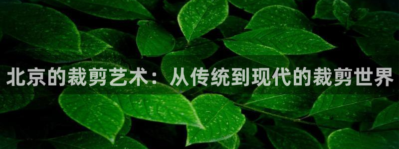 pg电子寻宝黄金城网址是什么