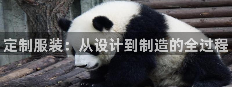 pg电子游戏体验模式网站是多少