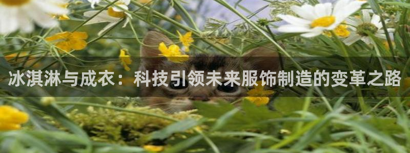 pg电子怎么一直维护