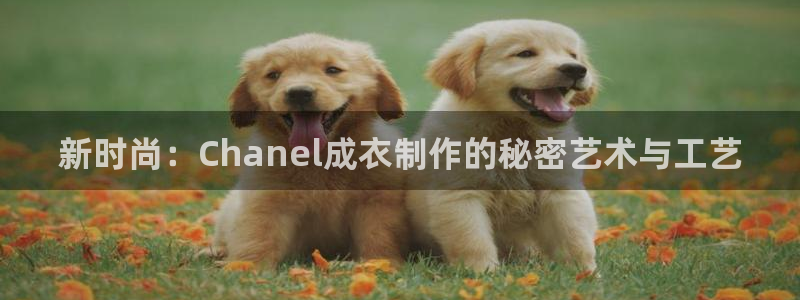 PG电子到底公不公正