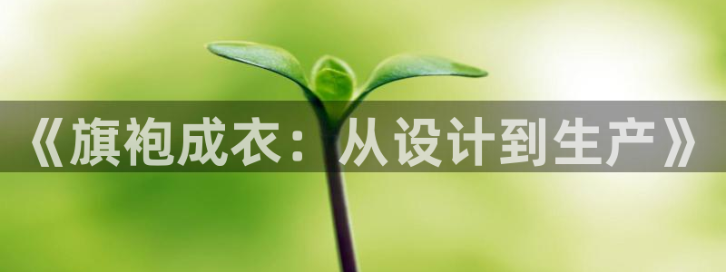 pg电子爆