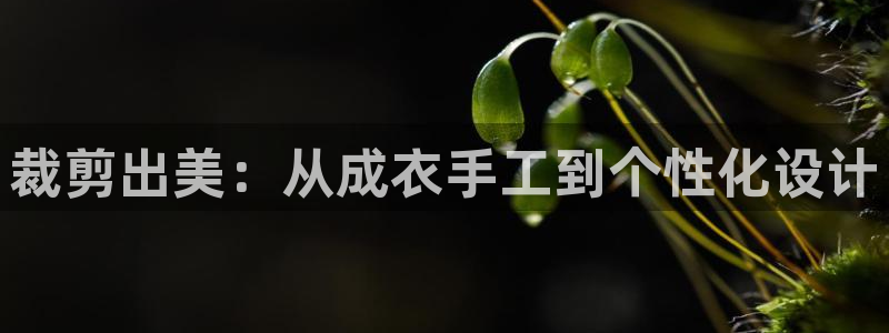 体育娱乐pg电子