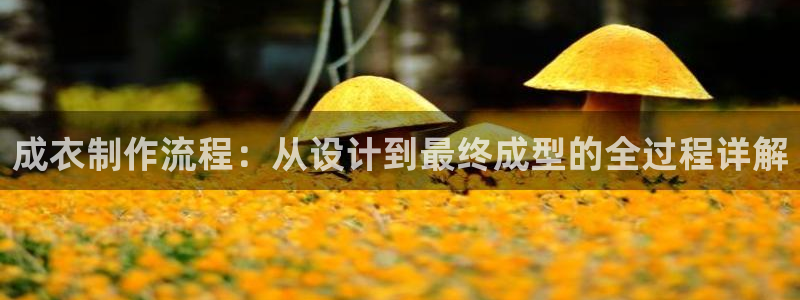 pg电子麻将胡了在哪玩