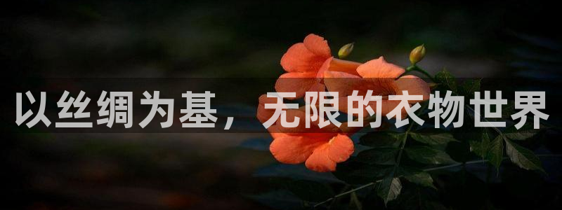 pg电子游艺加速器