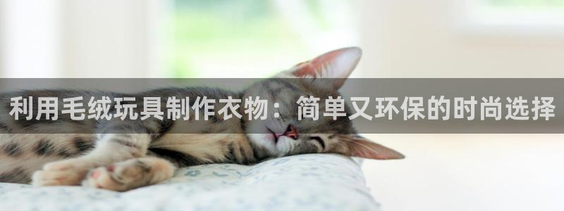pg电子游戏哪里有直播