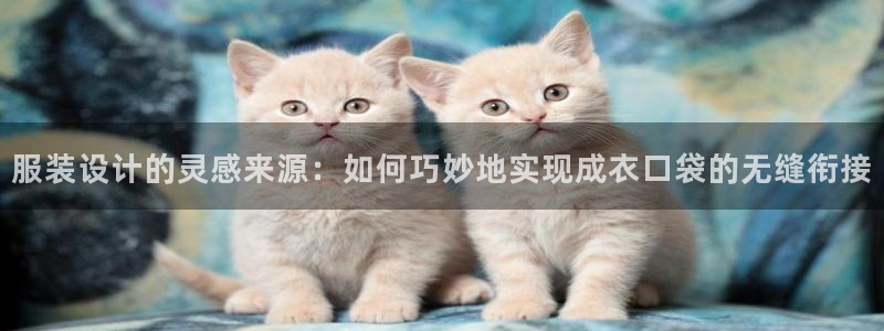 pg电子秘籍