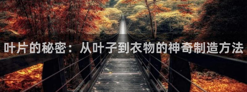 pg电子棋牌源码
