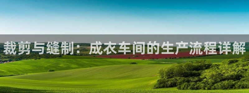 pg电子是谁开发的