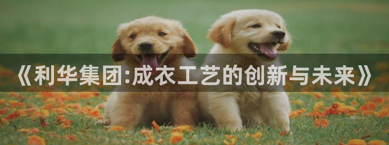 PG报丧说明书电子版