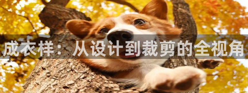 pg电子日月星辰