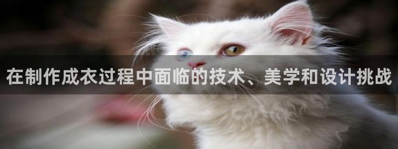 pg电子不凡成就非凡