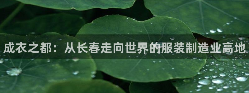 澳门电子pg游戏