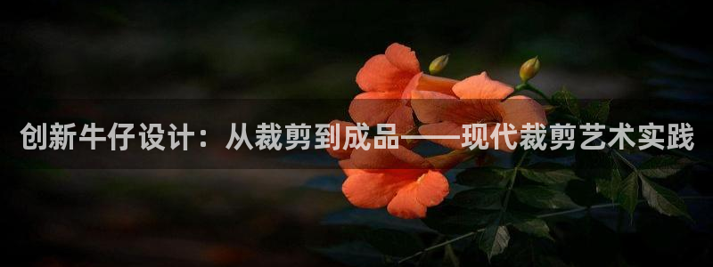 PG电子视频在哪看