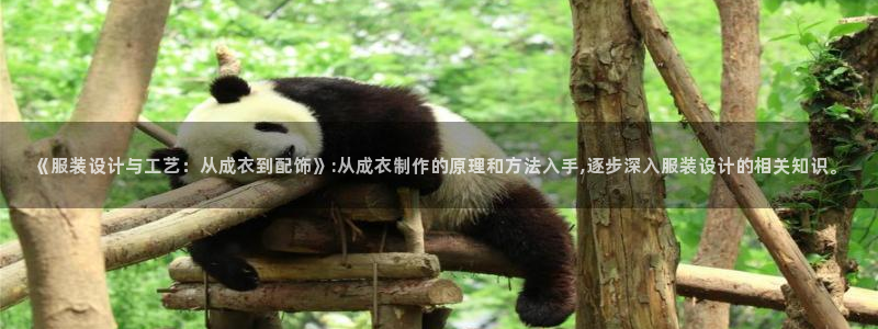 三只猴子pg电子