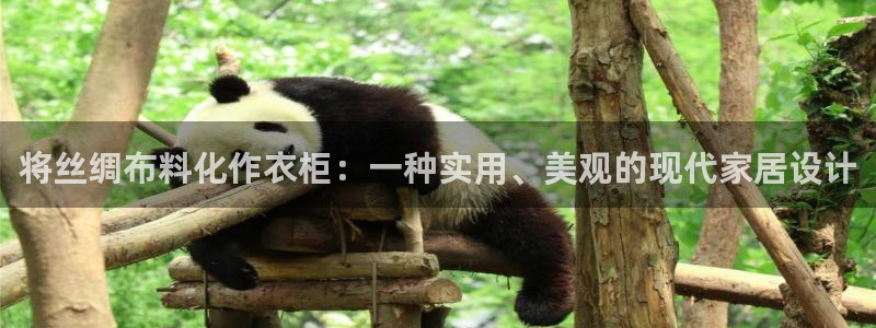 pg电子官方网站入口