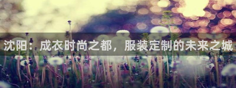 Pg电子海盗船长技巧