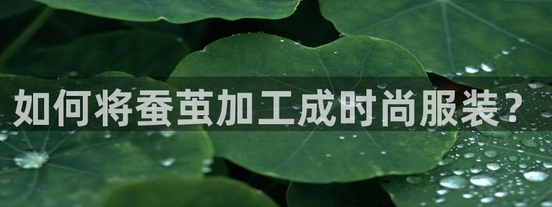 pg电子试玩在线