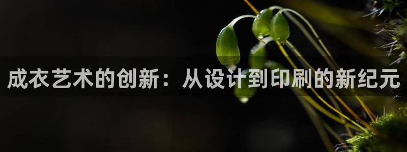 pg电子少林足球试玩