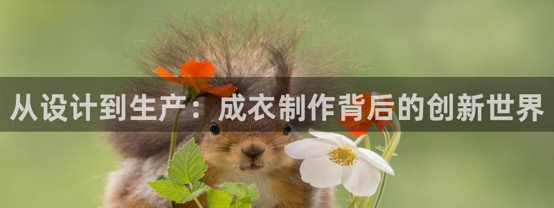 pg电子哪个游戏好爆奖