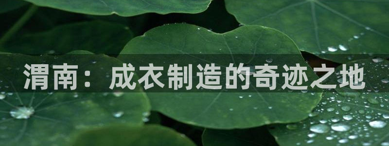 pg电子能不能免费完