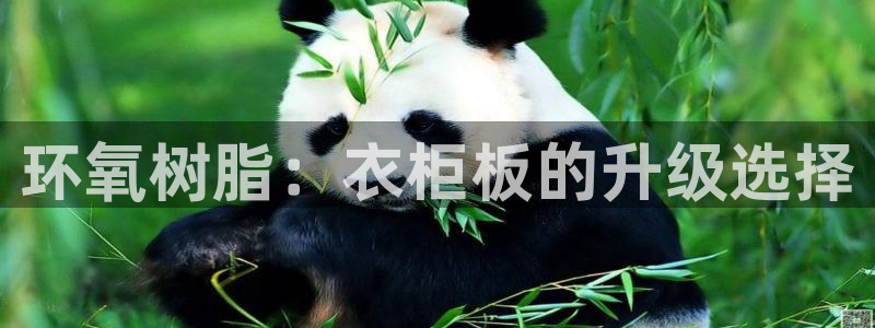 pg电子澳门豪门爆分