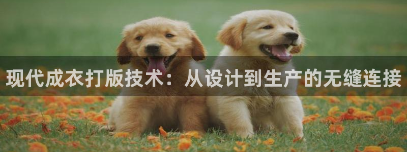 pg电子最新爆分视频