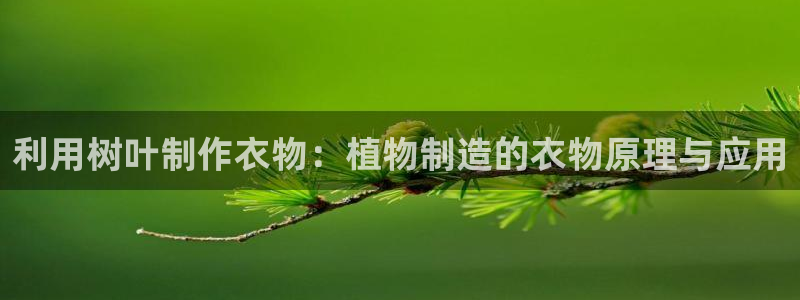 pg电子游戏封面图片