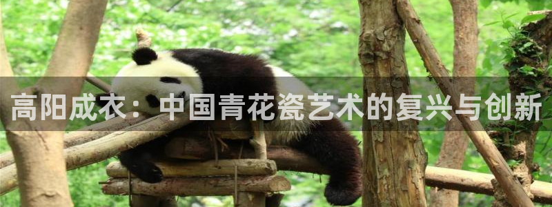 娱乐入口pg电子