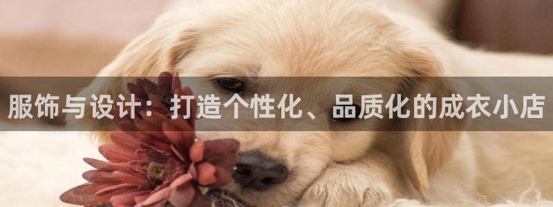 PG电子游戏麻将胡了一直吃分