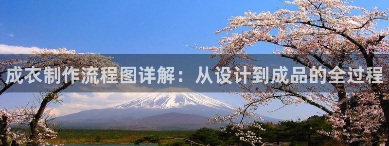 pg电子哪个玩的人最多