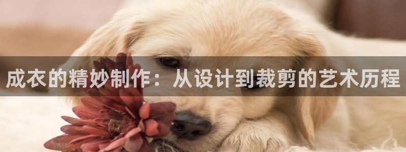 pg电子最高爆分视频