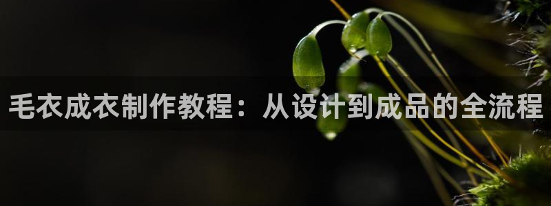 pg电子麻将胡了模拟器