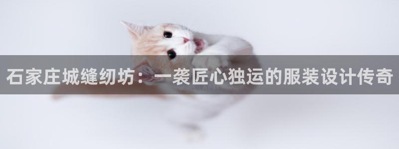 竹子熊猫电子游戏pg