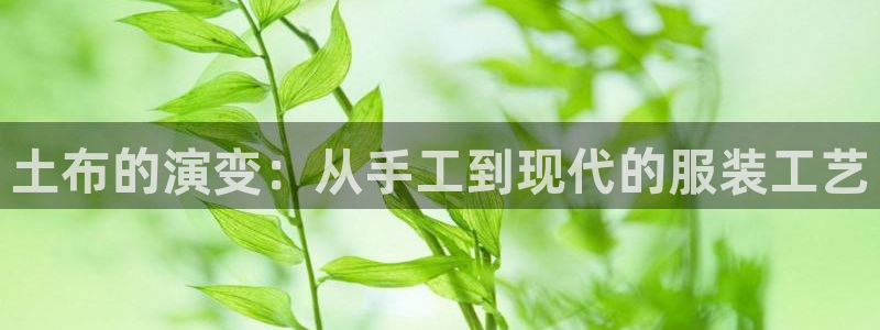 pg电子麻将胡胡了输