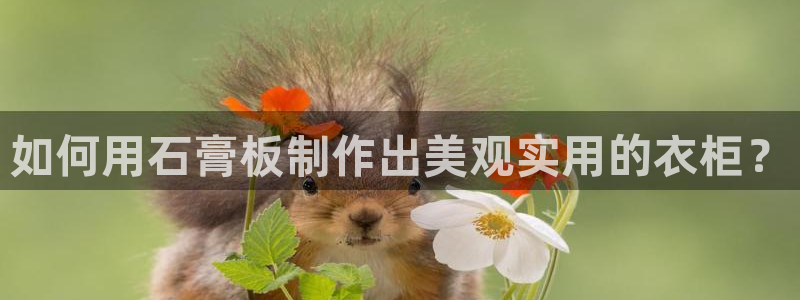 pg电子夺宝游戏试玩